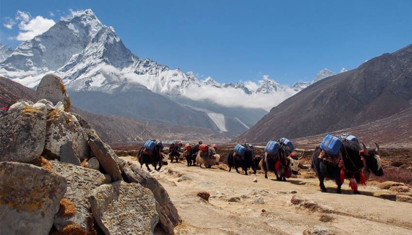 Everest Base Camp Trek