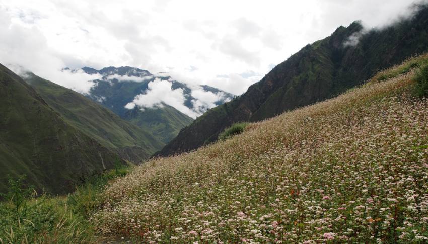 Langtang Gosainkunda Trek