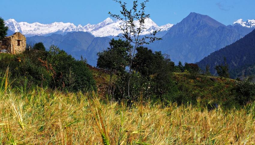 Langtang Gosainkunda Trek