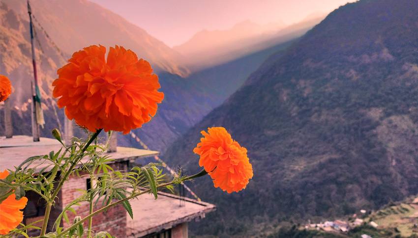 Langtang Gosainkunda Trek